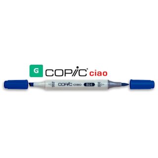 Copic Ciao Marker green