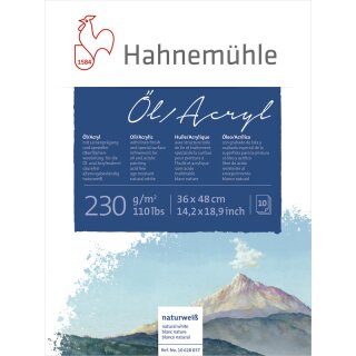 Hahnemühle Öl- und Acrylmalkarton 230 g/m² Größe: 36 x 48 cm / Blockinhalt: 10 Blatt