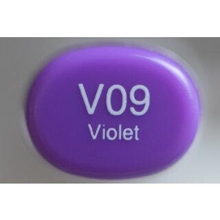 V 09