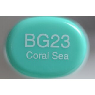 BG 23