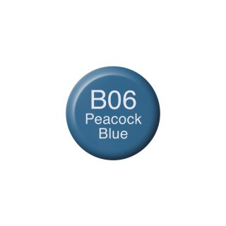 B 06